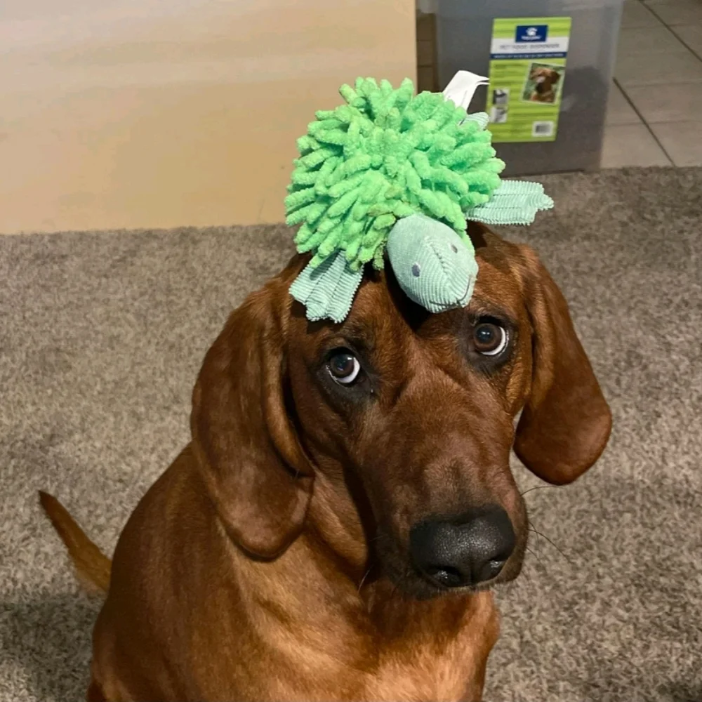 Boots & Barkley Turtle Plush Dog Toy